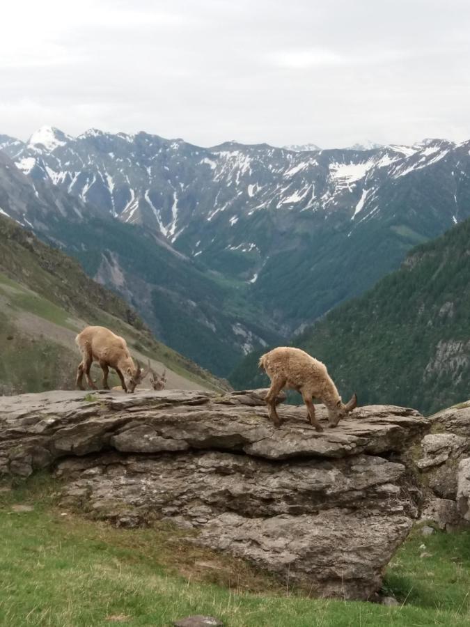Hébergement de vacances à La Montagne Saint-Julien-en-Champsaur